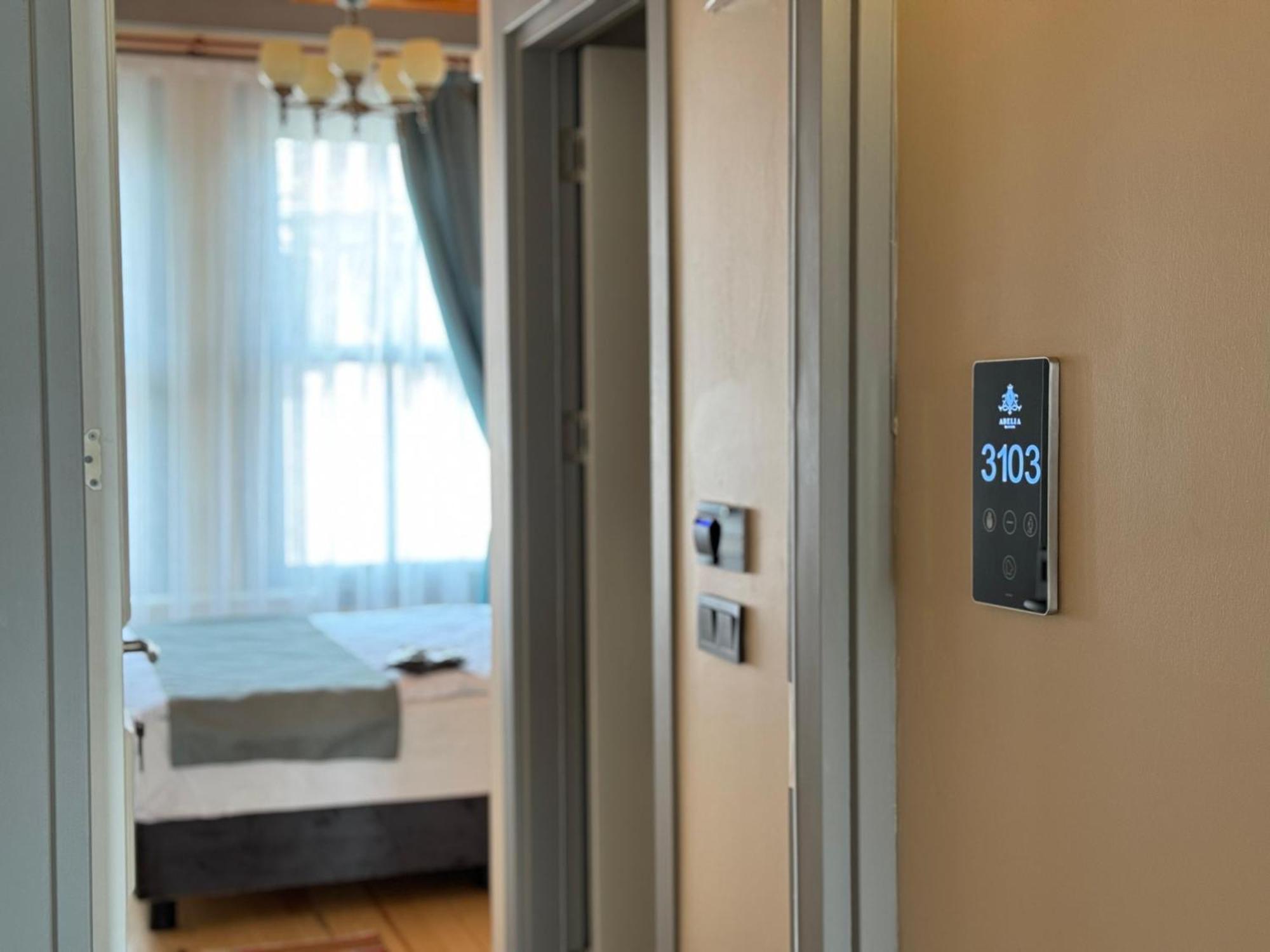 Abelia Mansion Hotel اسطنبول المظهر الخارجي الصورة